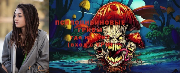 прущие крисы Переславль-Залесский