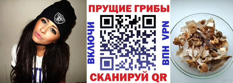 Галлюциногенные грибы прущие грибы  Ростов-на-Дону 