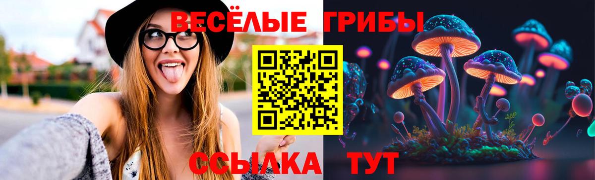 Псилоцибиновые грибы прущие грибы Ростов-на-Дону